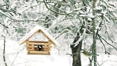鸟儿飞到喂食器前，拿起粮食飞走了，雪落在树上，雪花飘落在鸟舍里